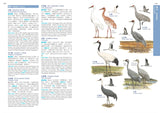 HKBWS Field Guide to the Birds of Hong Kong and S. China | 香港觀鳥會香港及華南鳥類野外手冊