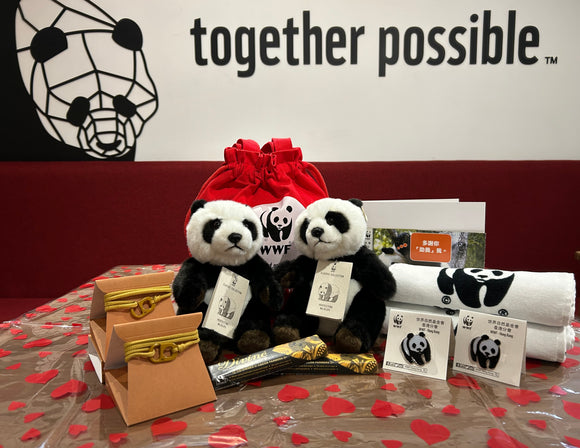 Valentine's version - Bring Me Home Panda with #Togetherband | 情人節系列 - 帶我回家熊貓連環保手繩套裝