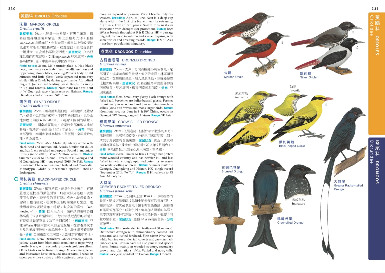 NEW COLOUR GUIDE TO HONG KONG BIRDS香港の鳥 HKBWS Field Guide to the Birds of Hong Kong and S. China