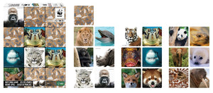 WWF Matching Game | WWF 記憶遊戲咭