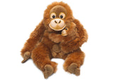 Bring Me Home - Orangutan Parent & kid |  帶我回家 - 親子紅毛猩猩